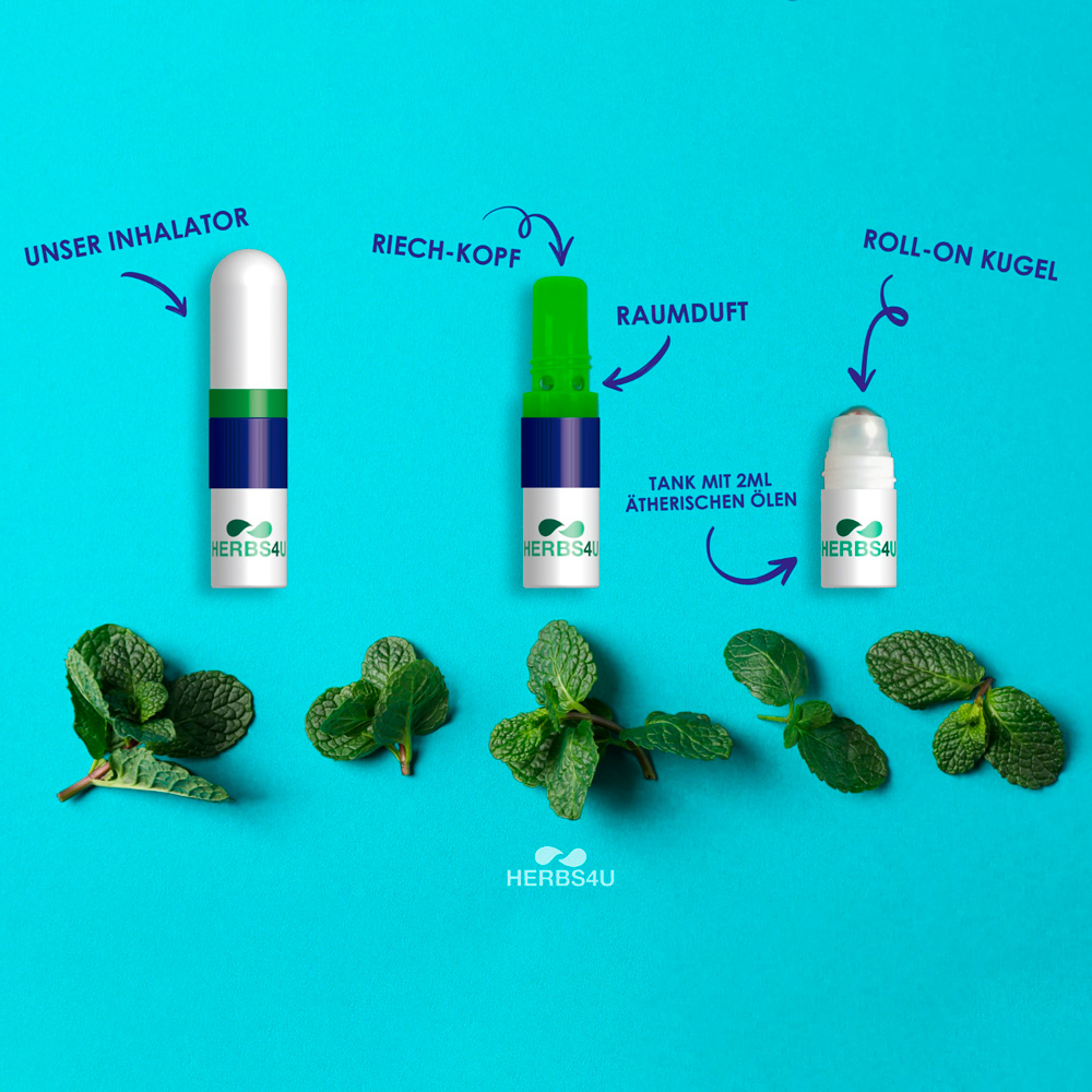 Herbs4You 3-in-1 Inhalierstift