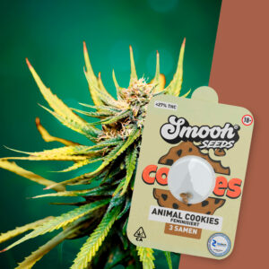 Smooh Cannabis Samen Animal Cookies