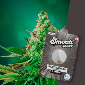 Smooh Cannabis Samen Platinum O.G.